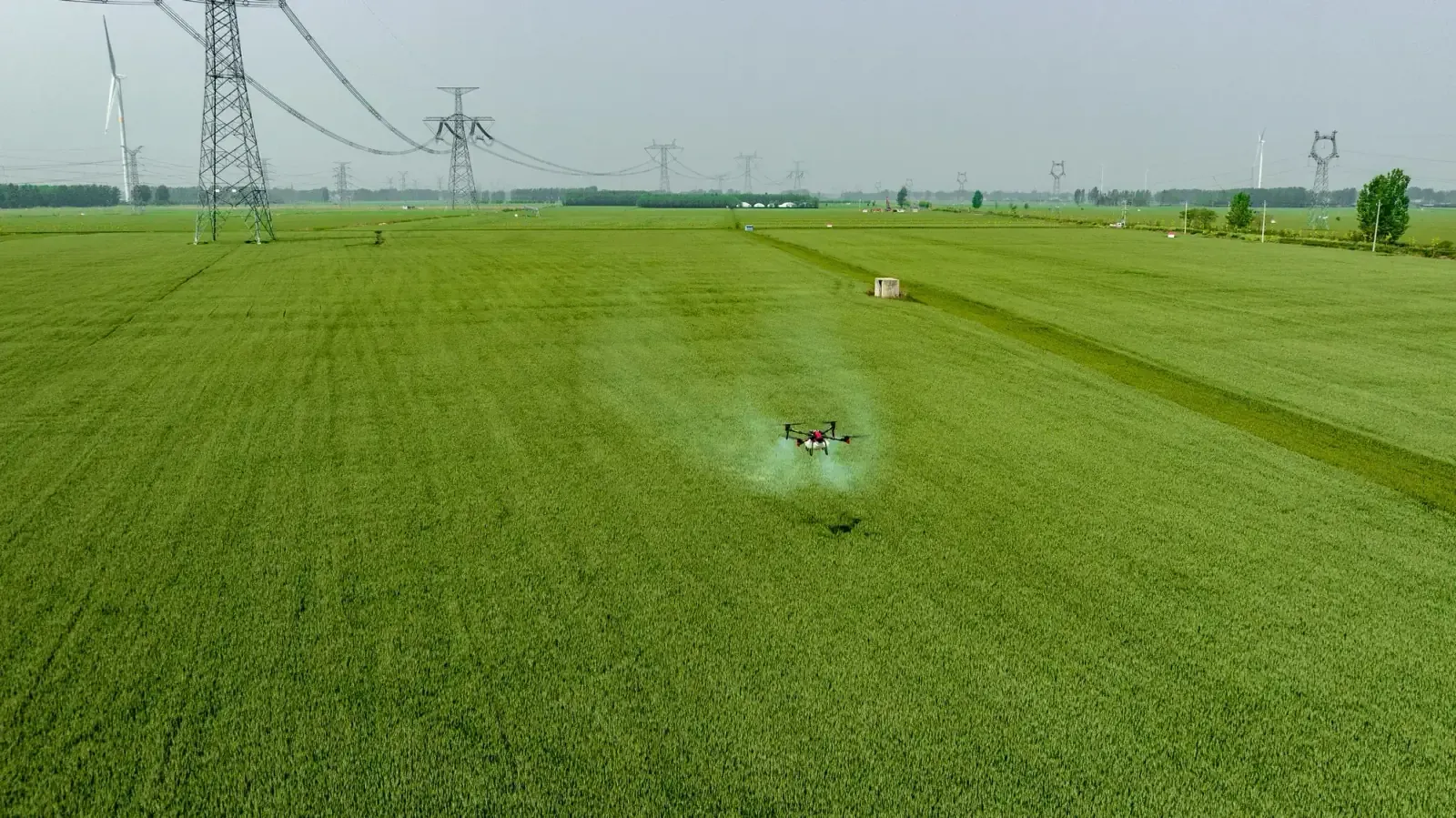Havadan görünüm: dron ile ilaçlanan tarla ve uygulama izi