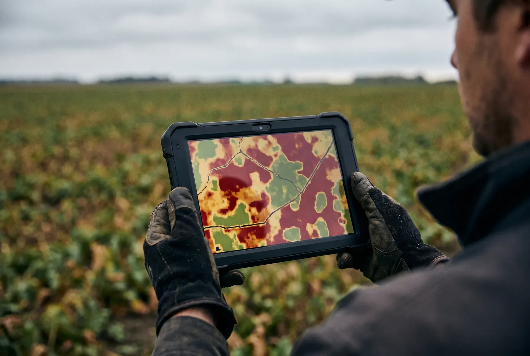 A plant-health map reviewed on a tablet at the edge of a field