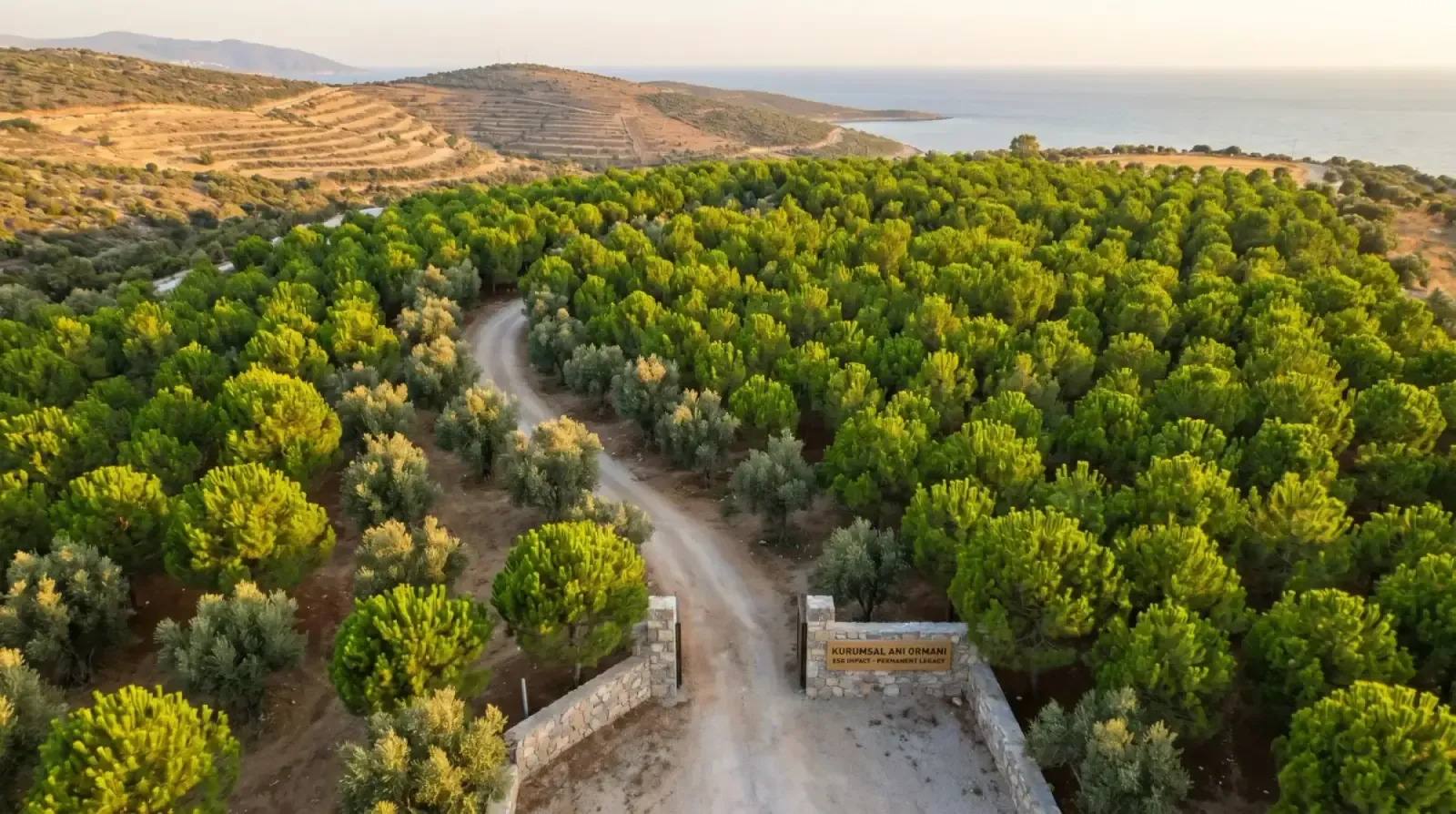 Kurumsal hatıra ormanı alanı