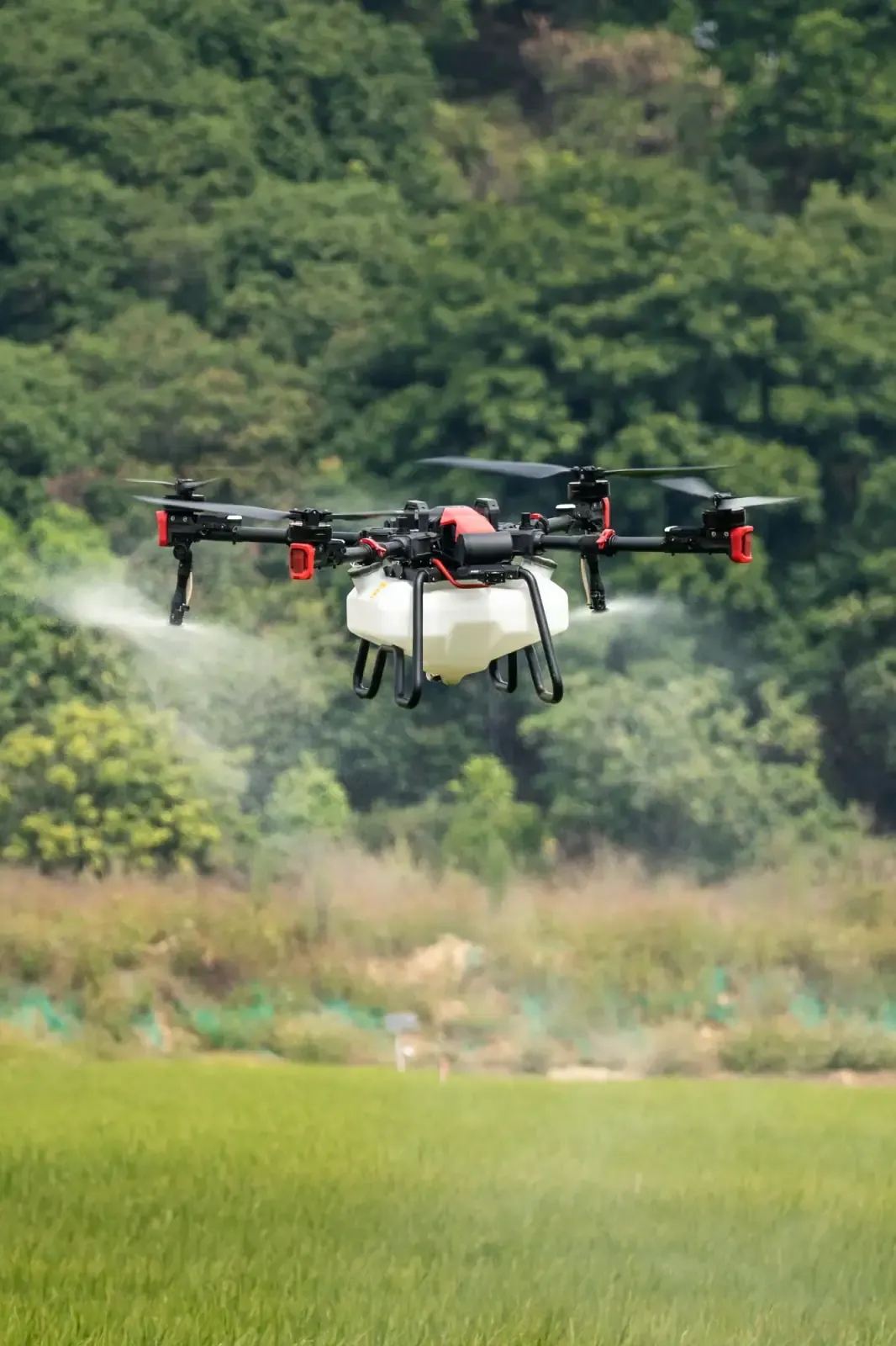 Ağaçlık arazi üzerinde ilaçlama yapan dron