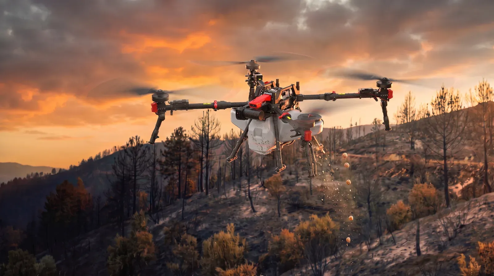 Seed-ball distribution by drone over a burnt slope