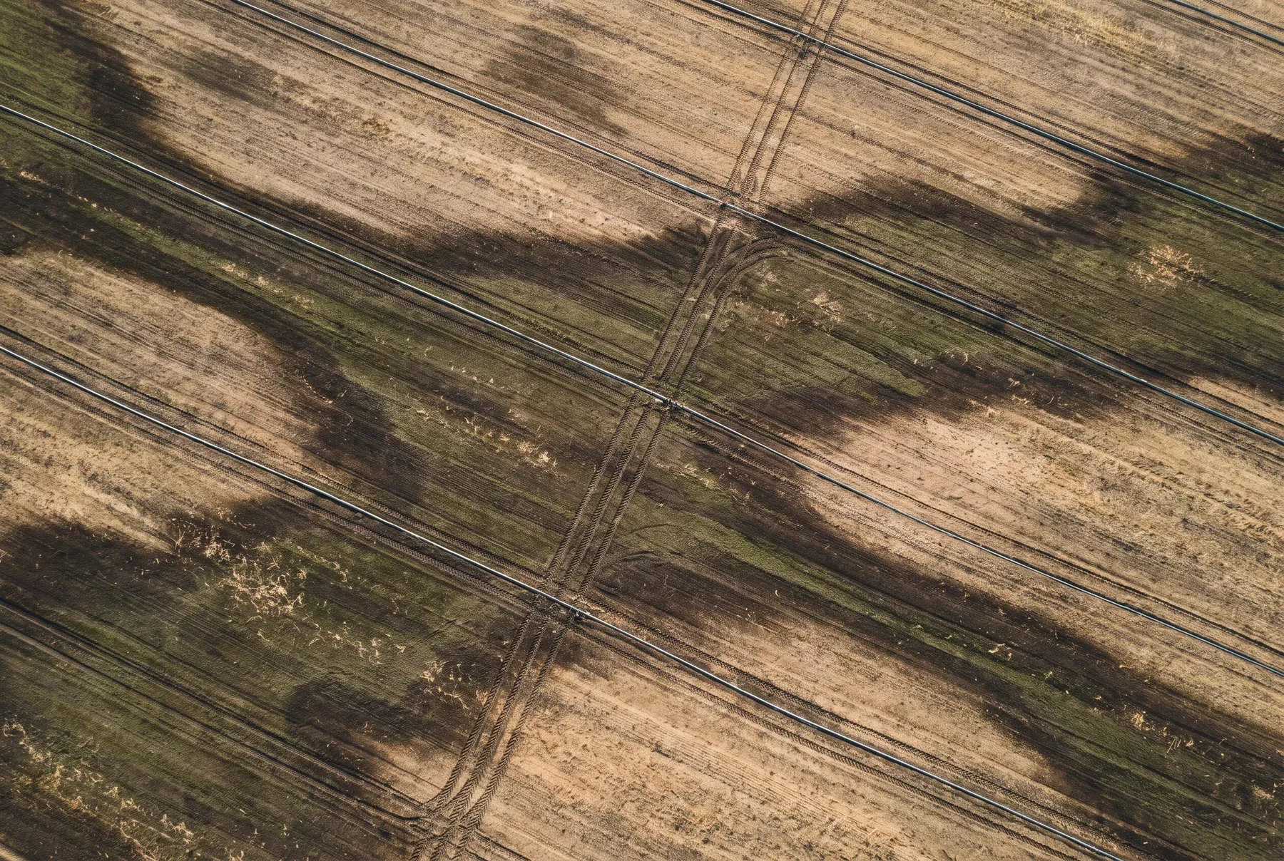 A field seen from above, showing irrigation lines and differences in soil moisture